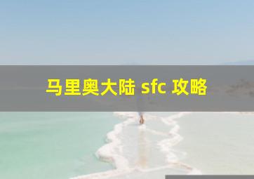 马里奥大陆 sfc 攻略